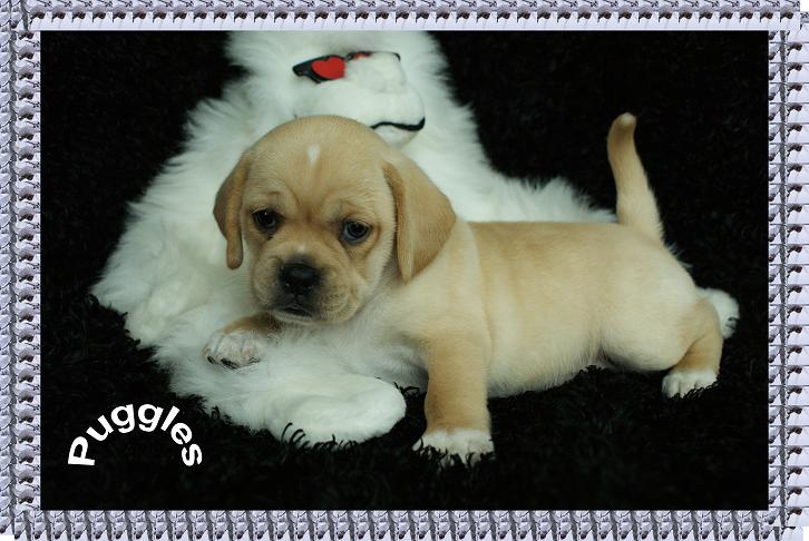 Click to watch my video.